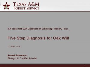 ISATexas Oak Wilt Qualification Workshop Belton Texas Five