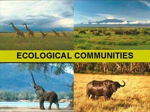 ECOLOGICAL COMMUNITIES Community Structure Spatial Distribution Species richness