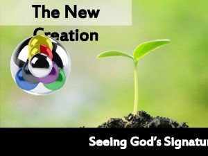 The New Creation Seeing Gods Signatur God Creates