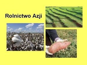 Rolnictwo Azji Pytania do lekcji Jakie s warunki