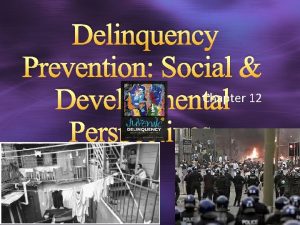 Delinquency Prevention Social Chapter 12 Developmental Perspectives Delinquency