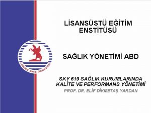 LSANSST ETM ENSTTS SALIK YNETM ABD SKY 619