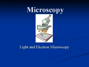 Microscopy Light and Electron Microscopy The History n