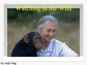 Watching in the Wild By Leigh Twigg Say