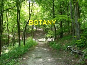 BOTANY Hannah Cox What is Botany Botany is