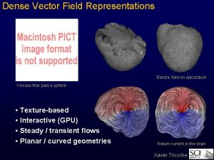 Dense Vector Field Representations Electric field on epicardium