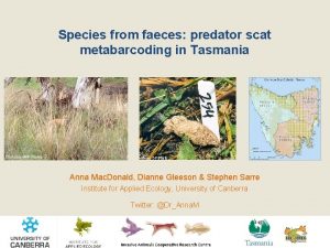 Species from faeces predator scat metabarcoding in Tasmania