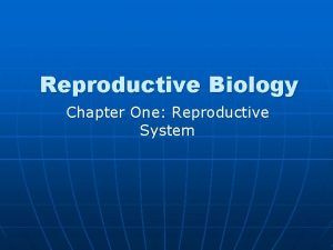 Reproductive Biology Chapter One Reproductive System reproductive systems