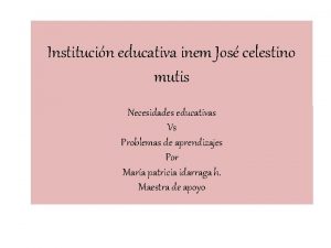 Institucin educativa inem Jos celestino mutis Necesidades educativas