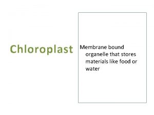 Chloroplast Membrane bound organelle that stores materials like