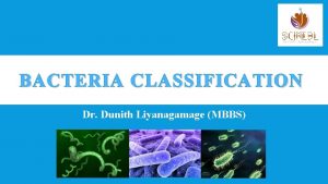 BACTERIA CLASSIFICATION Dr Dunith Liyanagamage MBBS 01 Morphological