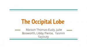 The Occipital Lobe Maison ThomasEudy Julie Bosworth Libby