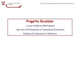 Servizio Informazione e Promozione Economica Progetto Excelsior a