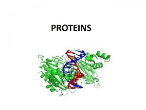 PROTEINS Function and Origin Function and Origin produced