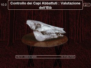 10 0 Controllo dei Capi Abbattuti Valutazione dellEt