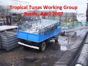 Tropical Tunas Working Group Recife April 2007 Main