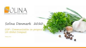 Solina Denmark 2020 COP Communication on progress UN