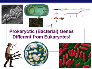 Control of Prokaryotic Bacterial Genes Different from Eukaryotes