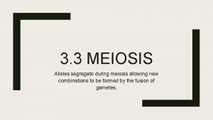 3 3 MEIOSIS Alleles segregate during meiosis allowing