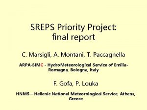 SREPS Priority Project final report C Marsigli A
