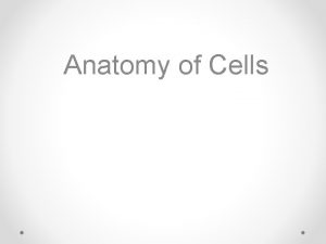 Anatomy of Cells The Discovery of Cells DONT