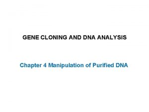 GENE CLONING AND DNA ANALYSIS Chapter 4 Manipulation