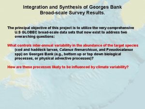 Integration and Synthesis of Georges Bank Broadscale Survey