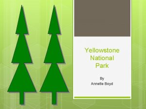 Yellowstone National Park By Annette Boyd Table of