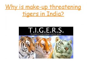 Why is makeup threatening tigers in India True