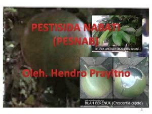 PESTISIDA NABATI PESNAB Oleh Hendro Prayitno 1 Keunggulan