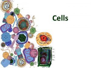 Cells Cells The basic unit of life Microscopic
