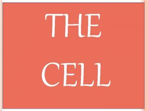 THE CELL INTRODUCTION Cell biology Cytology Kytoshollow vessel