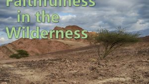 Faithfulness in the Wilderness Faithfulness in the Wilderness Faithfulness in the Wilderness Faithfulness in the Wilderness