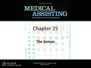 Chapter 25 The Senses Copyright 2012 Delmar Cengage