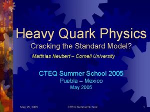 Heavy Quark Physics Cracking the Standard Model Matthias