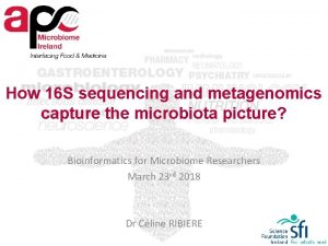 How 16 S sequencing and metagenomics capture the