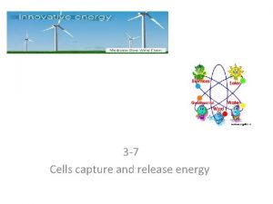 3 7 Cells capture and release energy What