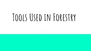 Tools Used in Forestry Tree Key Dichotomous Key