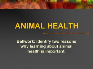 ANIMAL HEALTH Bellwork Identify two reasons why learning
