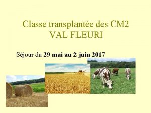 Classe transplante des CM 2 VAL FLEURI Sjour