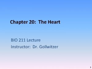 Chapter 20 The Heart BIO 211 Lecture Instructor