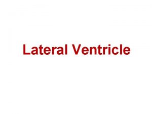 Lateral Ventricle FEATURES The lateral ventricles are two