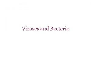 Viruses and Bacteria Viruses Discovery of Viruses Detect