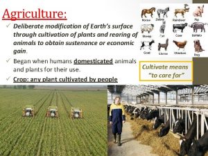 Agriculture Deliberate modification of Earths surface through cultivation