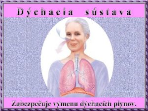 Dchacia sstava Zabezpeuje vmenu dchacch plynov Organizmus z