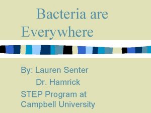 Bacteria are Everywhere By Lauren Senter Dr Hamrick