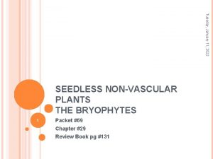 Tuesday January 11 2022 SEEDLESS NONVASCULAR PLANTS THE