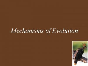 Mechanisms of Evolution Mechanisms of Evolution Key Concepts
