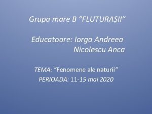 Grupa mare B FLUTURAII Educatoare Iorga Andreea Nicolescu