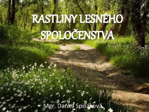 RASTLINY LESNHO SPOLOENSTVA 11 1 2022 16 23